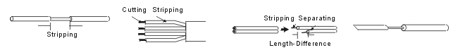 FE 60 10X S2
